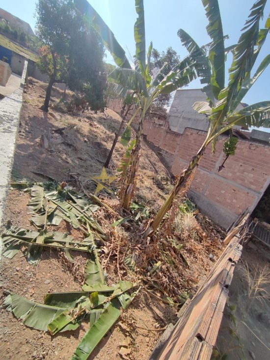 lote-venda-jardim-alterosas-2-secao-betim-1088061