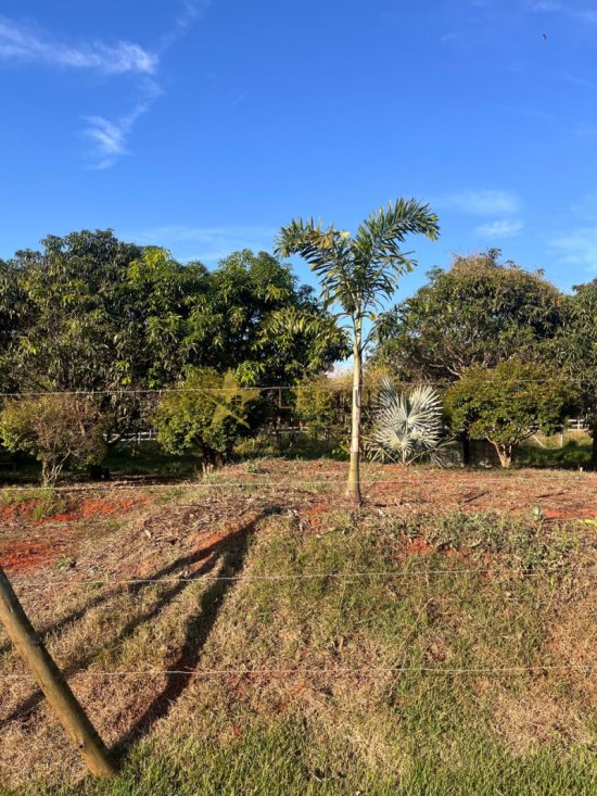 chacara-venda-condominio-serra-azul-1116678