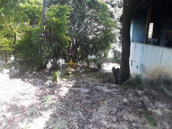 terreno-venda-jardim-alterosas-segunda-secao-667089